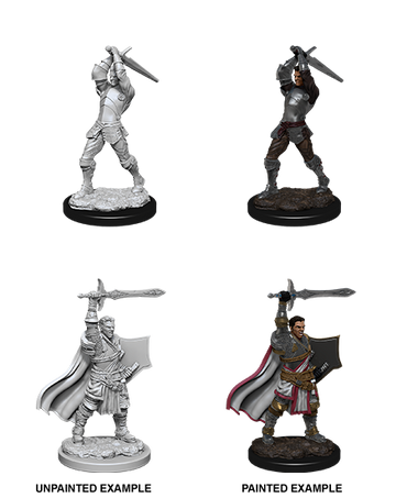 D&D NMM W12 Human Paladin unpainted miniature