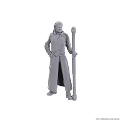 D&D Nolzur's Marvelous Miniatures: Special Edition Baldur's Gate 3 — Gale & Astarion