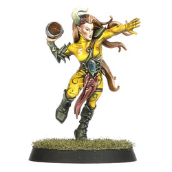 Blood Bowl: Wood Elf Bowl Team