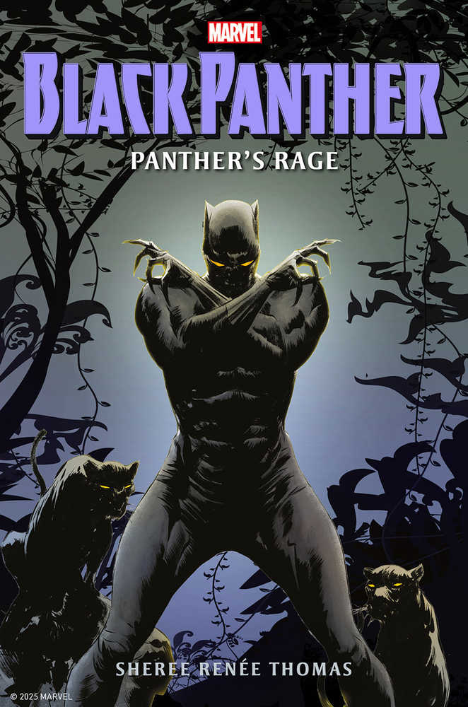 Black Panther Panthers Rage Prose Novel Hardcover