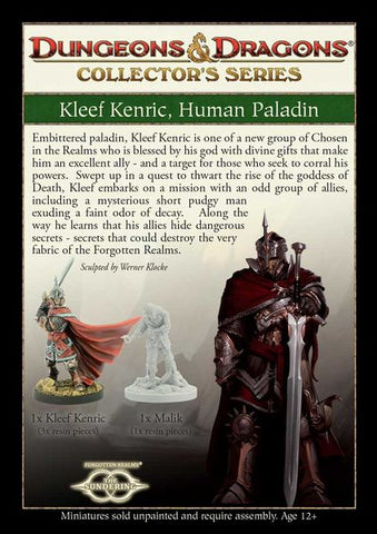 Dungeons & Dragons Collector's Series: Kleef Kenric, Human Paladin (Limited Edition)