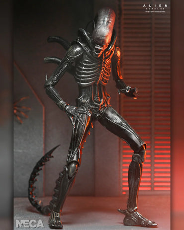 NECA Alien Romulus Ultimate Xenomorph XX121