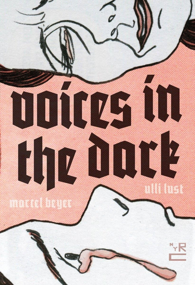 Voices In The Dark Graphic Novel