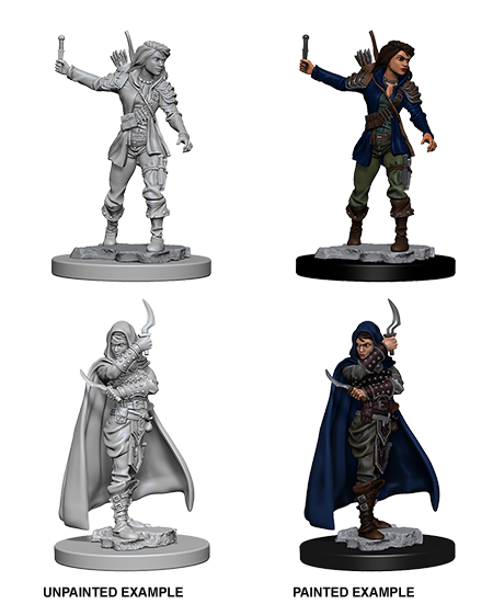 Pathfinder Deep Cuts W01 Human Female Rogue unpainted miniature