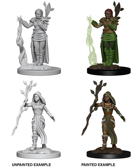 D&D NMM W02 Human Druid unpainted miniatures