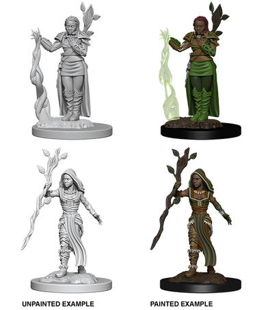 D&D NMM W02 Human Druid unpainted miniatures