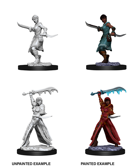 D&D NMM W10 Human Rogue unpainted miniatures