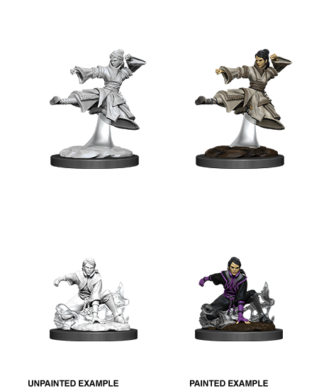 D&D NMM W11 Human Monk unpainted miniatures