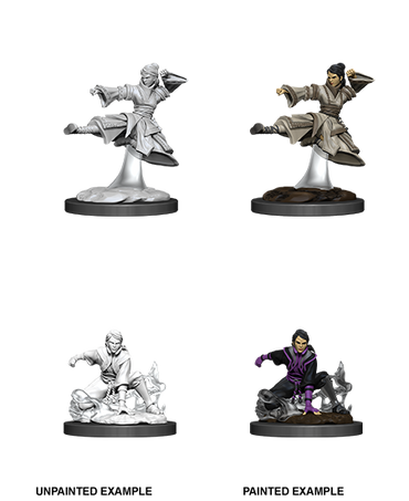 D&D NMM W11 Human Monk unpainted miniatures