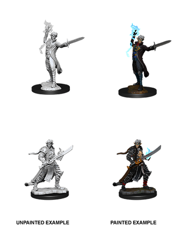 Pathfinder Deep Cuts W11 Half-Elf Male Magus unpainted miniature