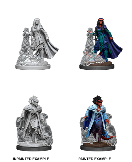 D&D NMM W12 Tiefling Sorcerer F unpainted miniatures