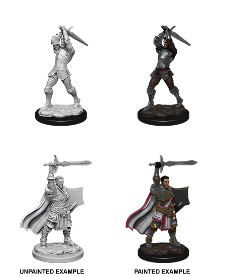 D&D NMM W12 Human Paladin unpainted miniature