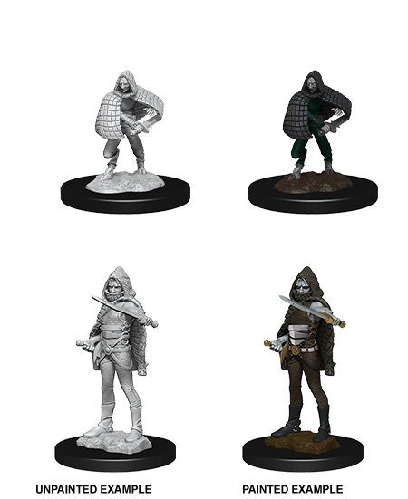 D&D NMM W13 Darkling Elder & Darklings unpainted miniatures