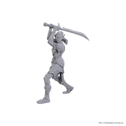 D&D Nolzur's Marvelous Miniatures: Special Edition Baldur's Gate 3 — Lae'zel & Shadowheart