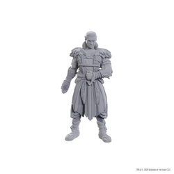 D&D Nolzur's Marvelous Miniatures: Special Edition Baldur's Gate 3 — Jaheira & Halsin