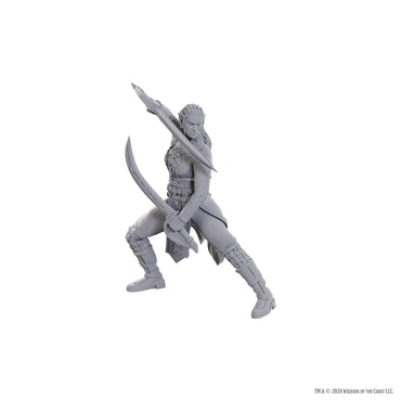 D&D Nolzur's Marvelous Miniatures: Special Edition Baldur's Gate 3 — Jaheira & Halsin