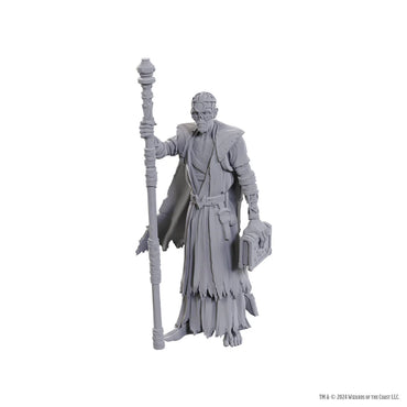 D&D Nolzur's Marvelous Miniatures: Special Edition Baldur's Gate 3 — Volo & Withers