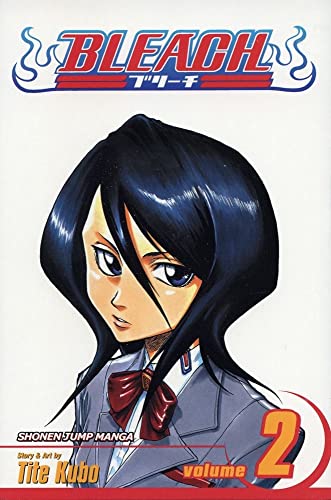 Bleach - volume 15