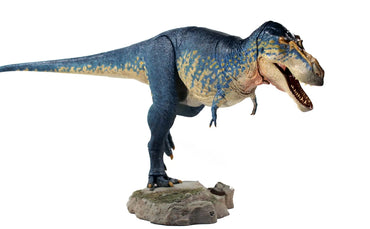 Beasts of the Mesozoic - Tyrannosaur Series Gorgosaurus Libratus