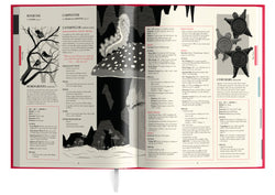 Wonderland: A Fantasy Role-Playing Setting