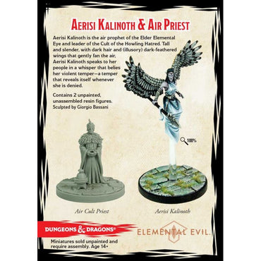 Dungeons & Dragons Collector's Series: Elemental Evil Aerisi Kalinoth & Air Priest (Limited Edition)