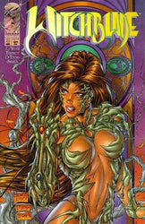 Witchblade: The Saga Begins Vol 1. #1-10 Bundle