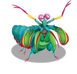 Mantis