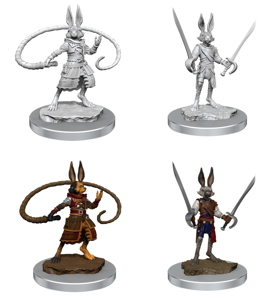 DND UNPAINTED MINIS WV17 HARENGON ROGUES