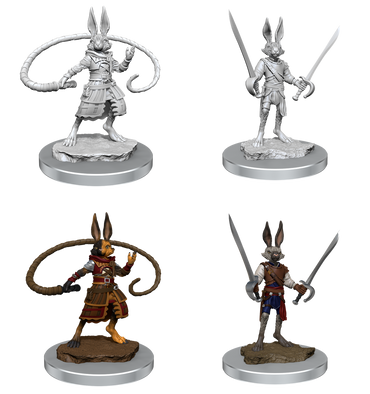 DND UNPAINTED MINIS WV17 HARENGON ROGUES