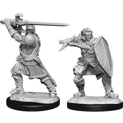 Dungeons & Dragons Nolzur's Marvelous Unpainted Minis: W14 Male Human Paladin