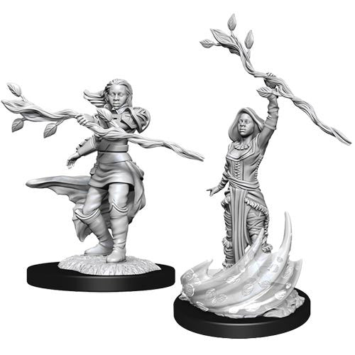 Dungeons & Dragons Nolzur's Marvelous Unpainted Minis: W14 Female Human Druid