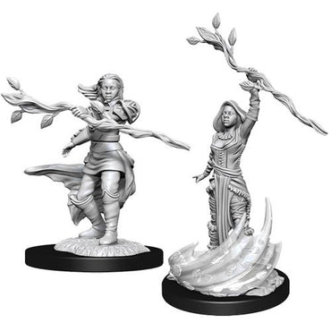 Dungeons & Dragons Nolzur's Marvelous Unpainted Minis: W14 Female Human Druid