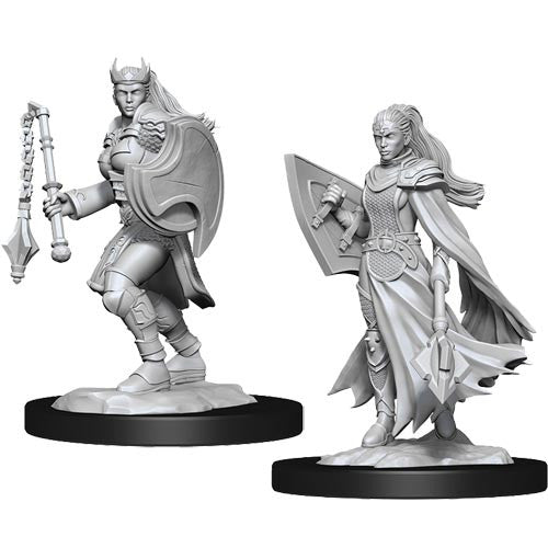 Dungeons & Dragons Nolzur's Marvelous Unpainted Minis: W14 Female Kalashtar Cleric