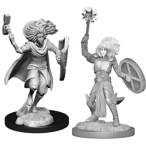 Dungeons & Dragons Nolzur's Marvelous Unpainted Minis: W14 Male Changeling Cleric