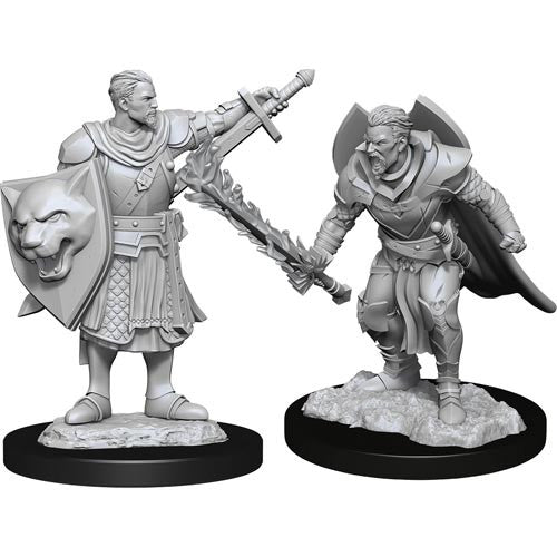 Pathfinder Deep Cuts W14 Male Human Champion unpainted miniature