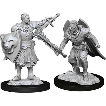 Pathfinder Deep Cuts W14 Male Human Champion unpainted miniature