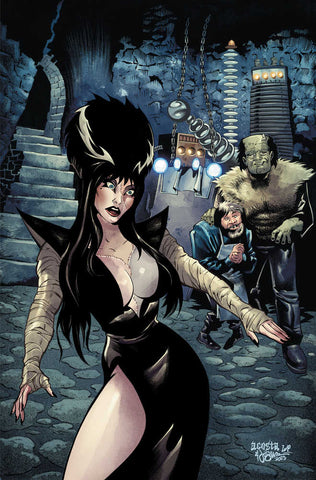 Elvira In Monsterland #2 Cover I 25 Copy Acosta Virgin